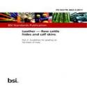 BS PD ISO/TR 2822-2:2017