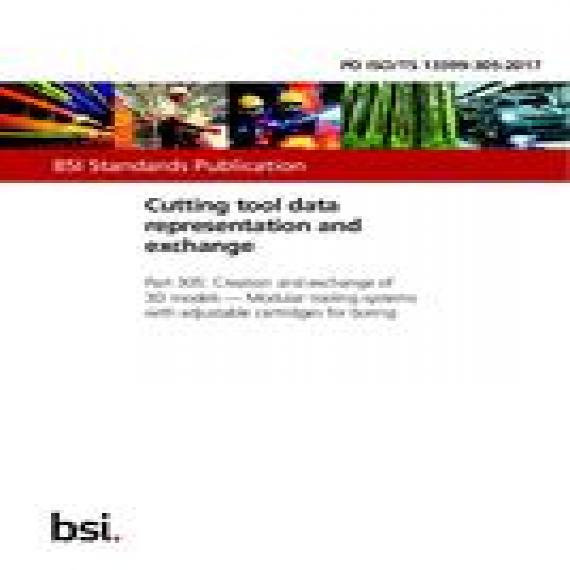BS PD ISO/TS 13399-305:2017