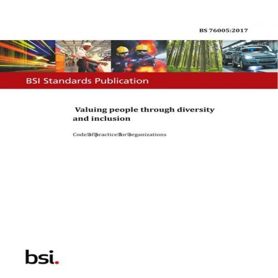 BS 76005:2017
