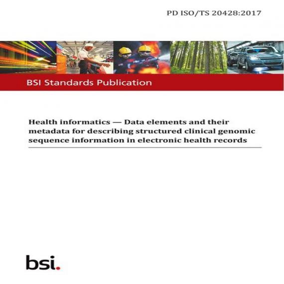 BS PD ISO/TS 20428:2017