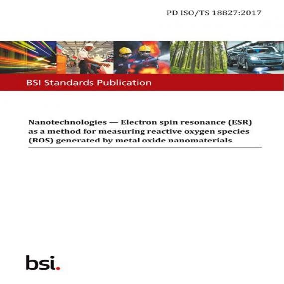 BS PD ISO/TS 18827:2017