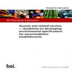 BS PD ISO/TS 13811:2015