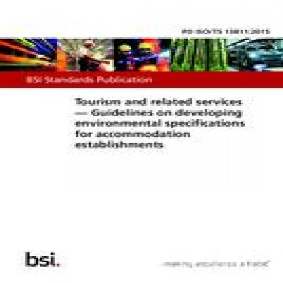 BS PD ISO/TS 13811:2015