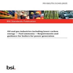BS PD ISO/TS 21343:2025
