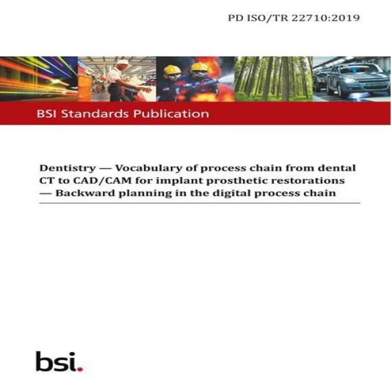 BS PD ISO/TR 22710:2019