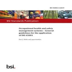 BS 45002-2:2019