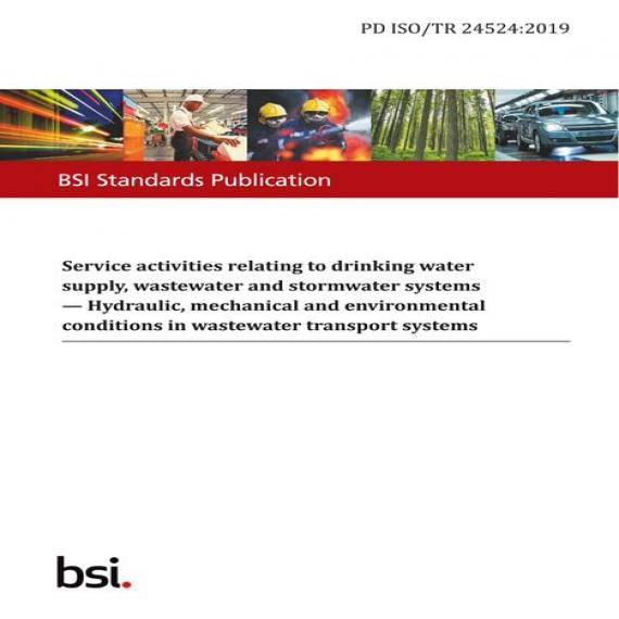 BS PD ISO/TR 24524:2019