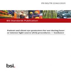BS PD ISO/TR 22463:2019