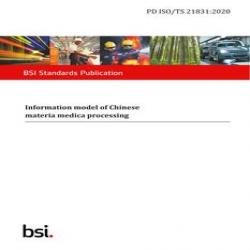 BS PD ISO/TS 21831:2020