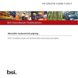 BS PD CEN/TR 13480-7:2017