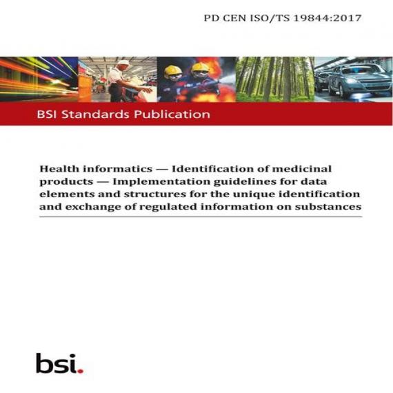 BS PD CEN ISO/TS 19844:2017